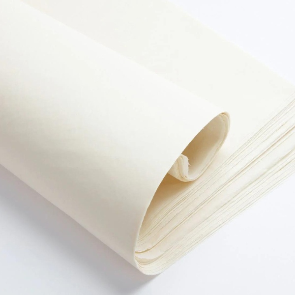 Giấy Ivory